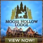 pigeon forge web cams|Live Webcams 